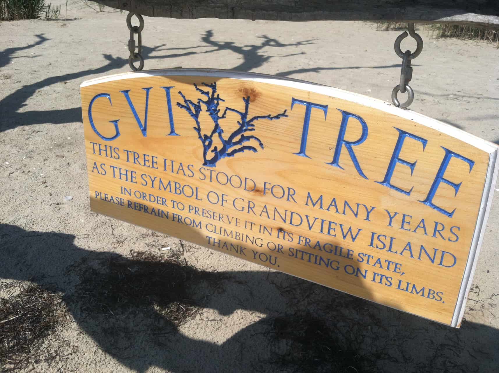 Grandview Island Hampton, VA Tree
