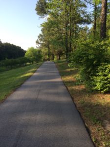 Scenic Route Through RTP. So green in May!